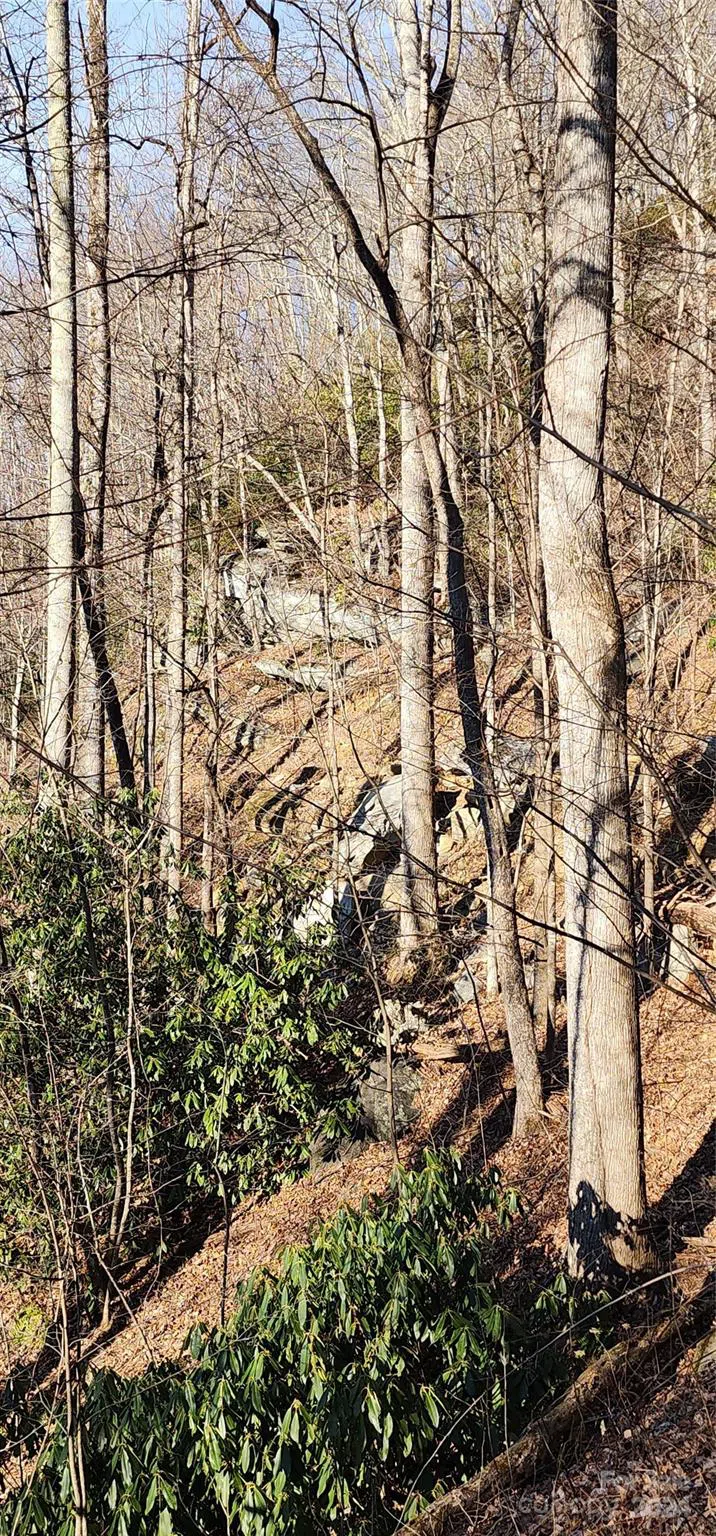 9999 Still Spring Road #Lot 4 Black Mountain, NC 28711