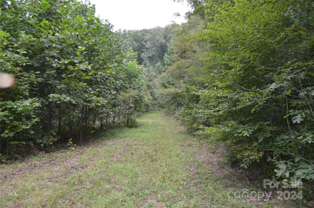 9999 Still Spring Road #Lot 4 Black Mountain, NC 28711