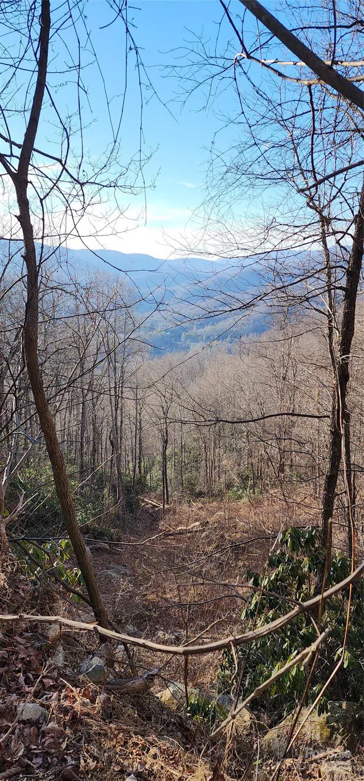 9999 Still Spring Road Black Mountain, NC 28711