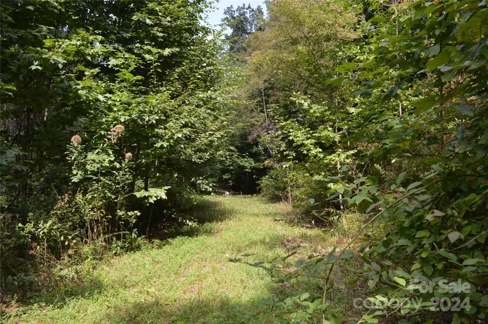 9999 Still Spring Road Black Mountain, NC 28711