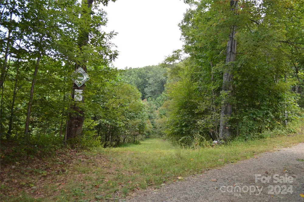 9999 Still Spring Road Black Mountain, NC 28711