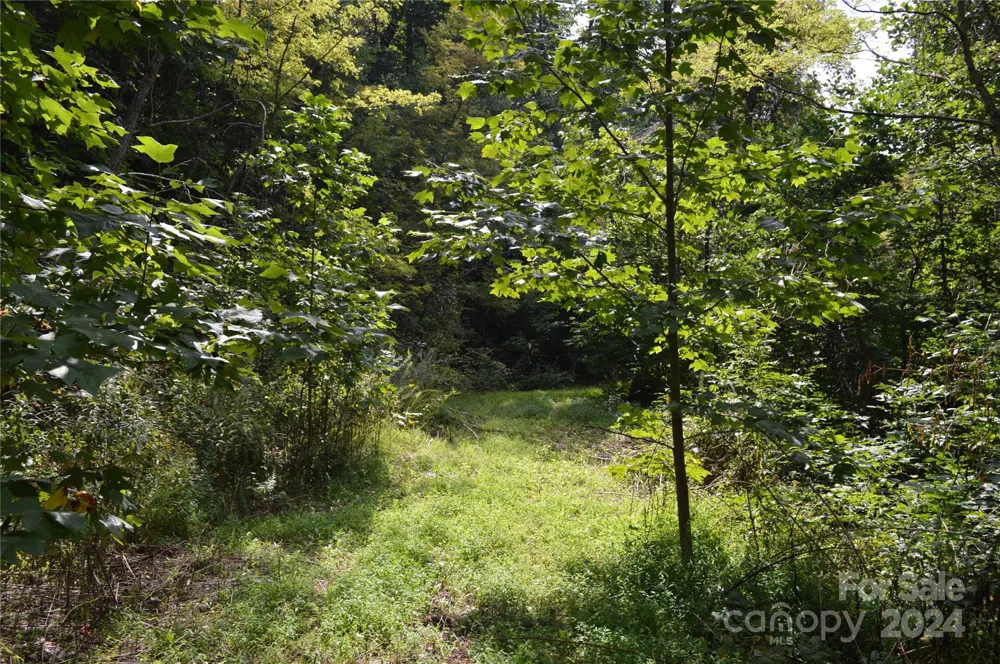 9999 Still Spring Road Black Mountain, NC 28711