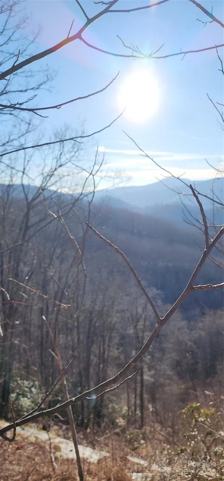 9999 Still Spring Road Black Mountain, NC 28711