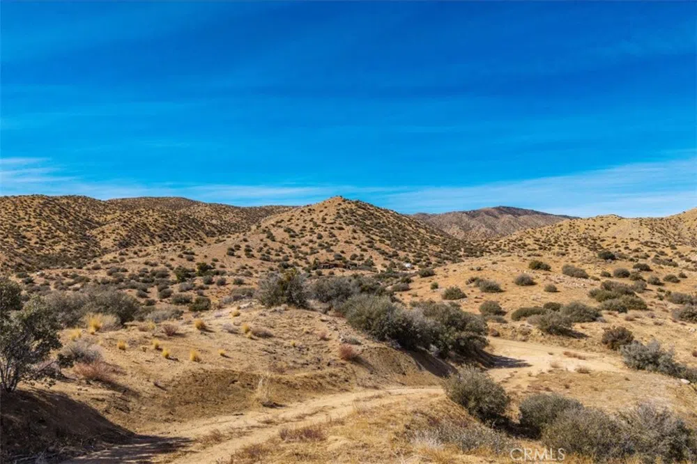 2841 Tumbleweed Trail Pioneertown, CA 92268
