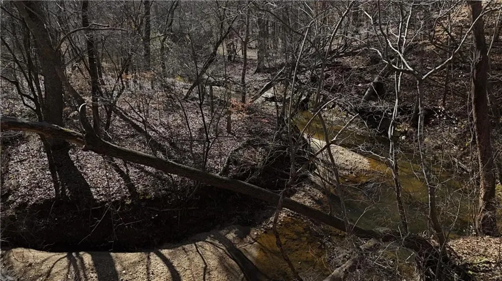 2977 Georgia Highway 120 Tallapoosa, GA 30176
