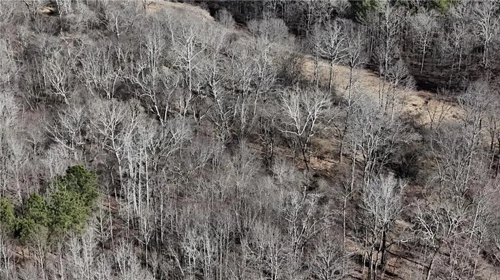 2977 Georgia Highway 120 Tallapoosa, GA 30176