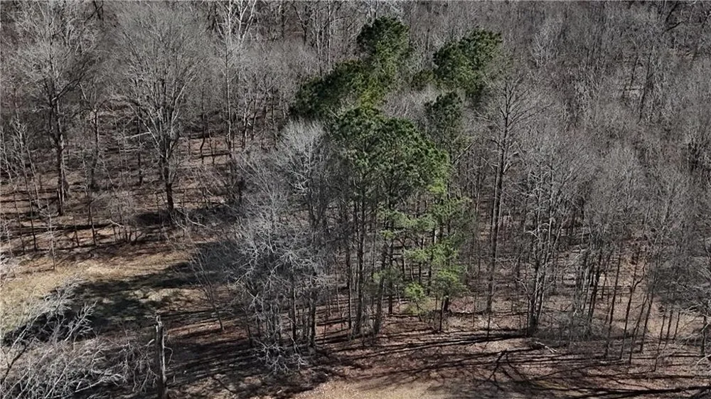 2977 Georgia Highway 120 Tallapoosa, GA 30176