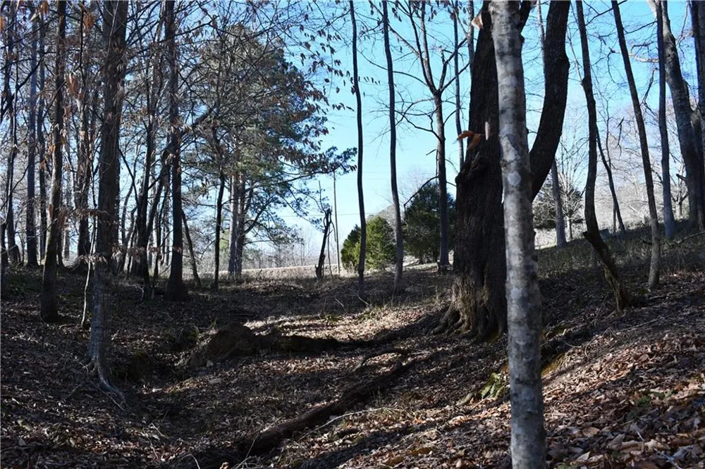 2977 Georgia Highway 120 Tallapoosa, GA 30176