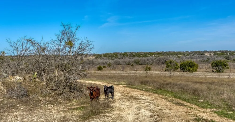 866 CR 2806 Lampasas, TX 76550