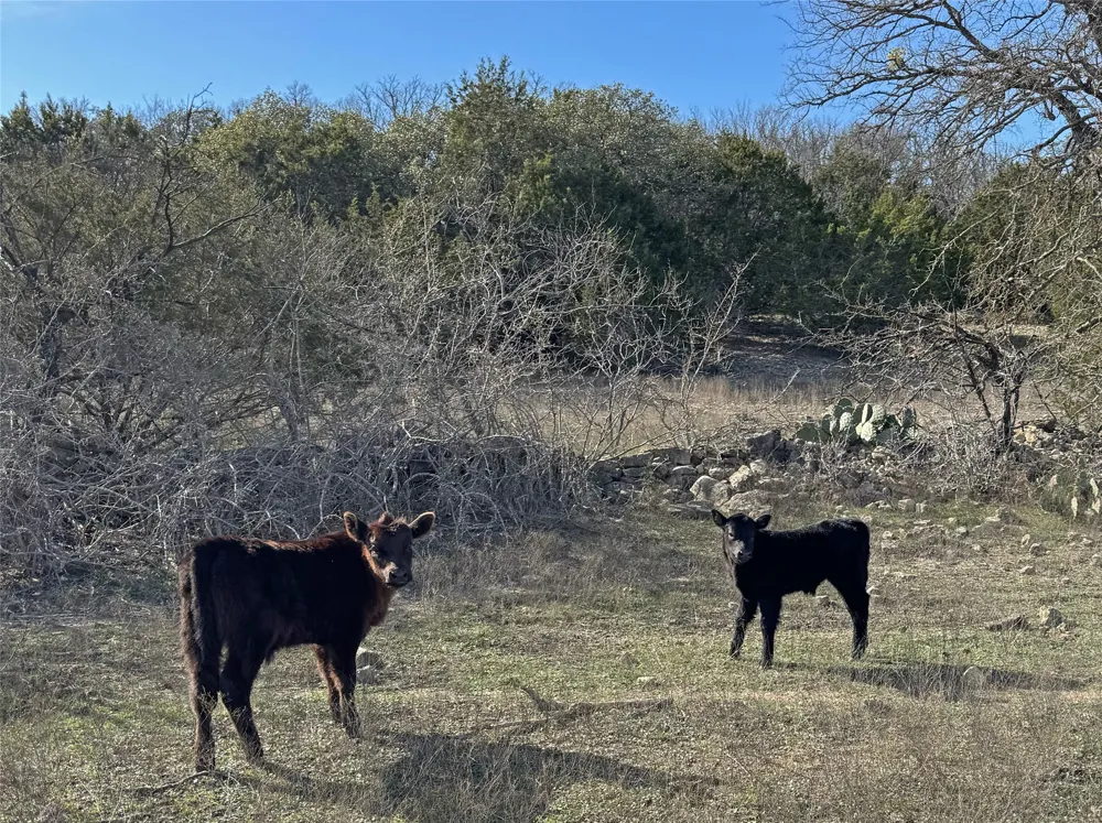 866 CR 2806 Lampasas, TX 76550