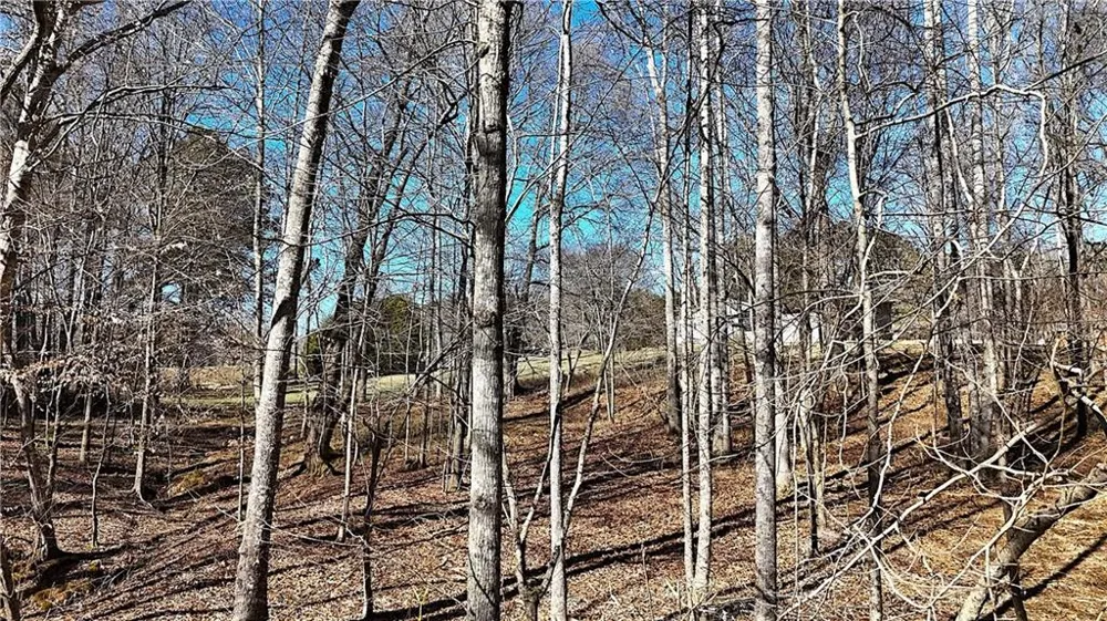 2977 Georgia Highway 120 Tallapoosa, GA 30176