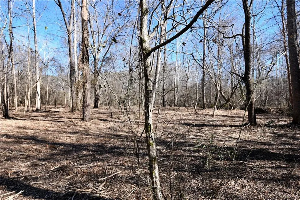 2977 Georgia Highway 120 Tallapoosa, GA 30176