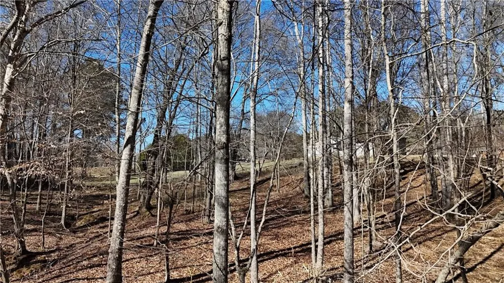 2977 Georgia Highway 120 Tallapoosa, GA 30176