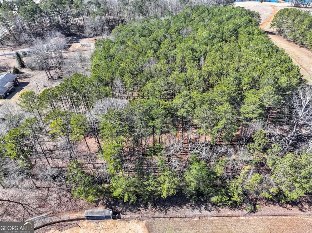 1891 HIGHWAY 81 McDonough, GA 30252