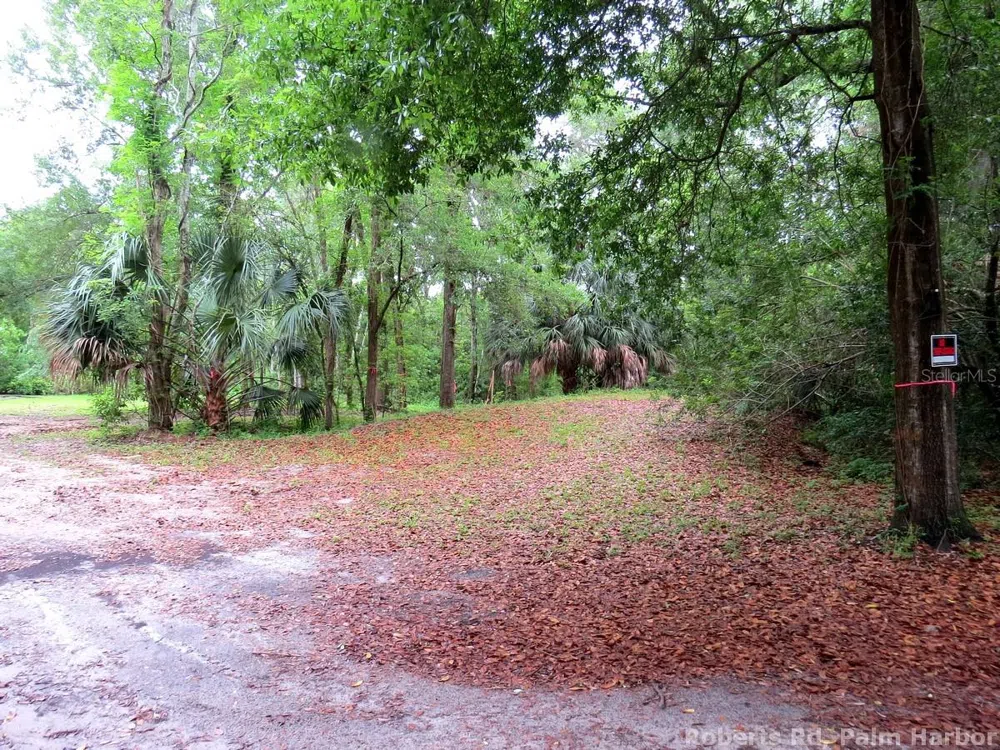 ROBERTS ROAD Palm Harbor, FL 34683
