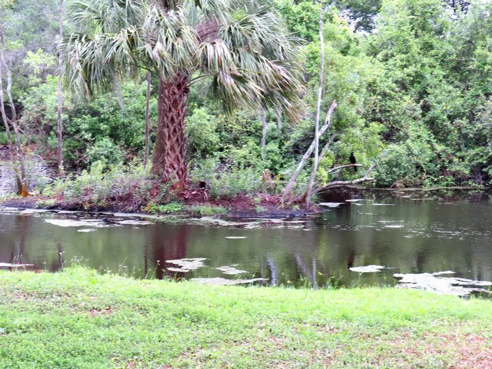 ROBERTS ROAD Palm Harbor, FL 34683