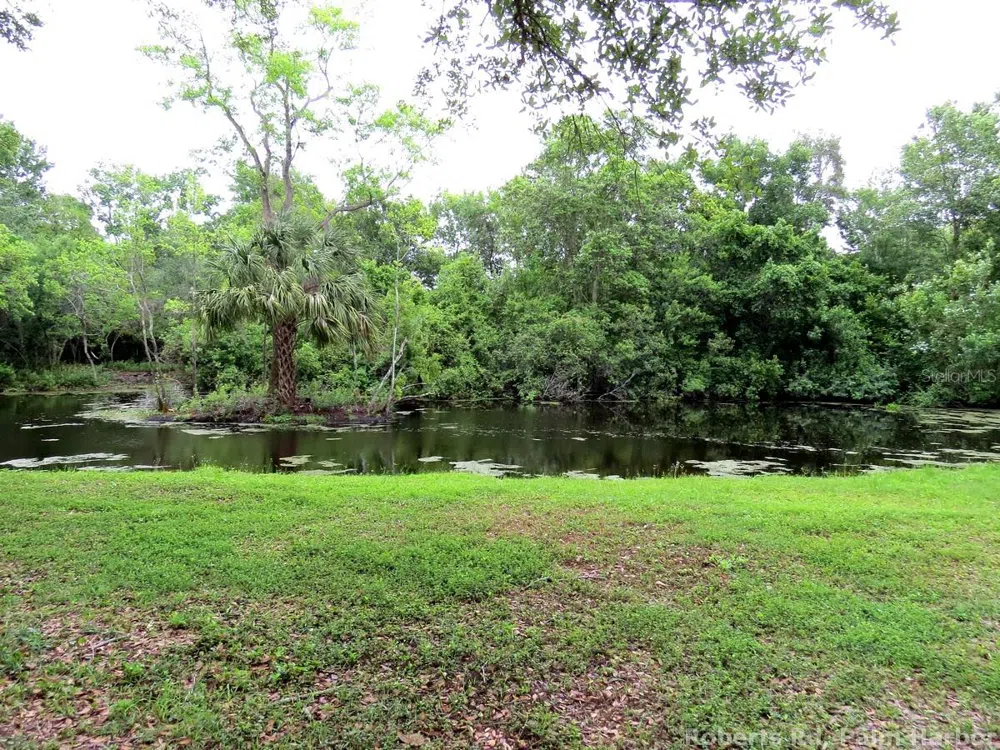 ROBERTS ROAD Palm Harbor, FL 34683