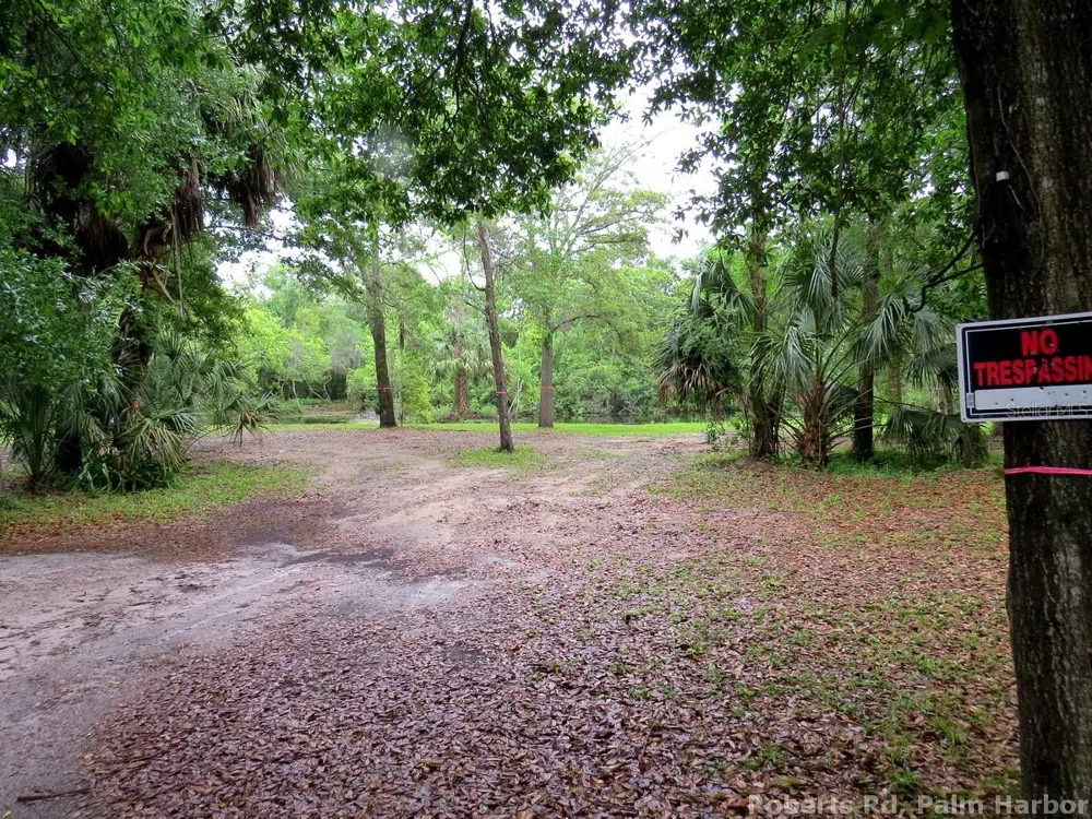 ROBERTS ROAD Palm Harbor, FL 34683