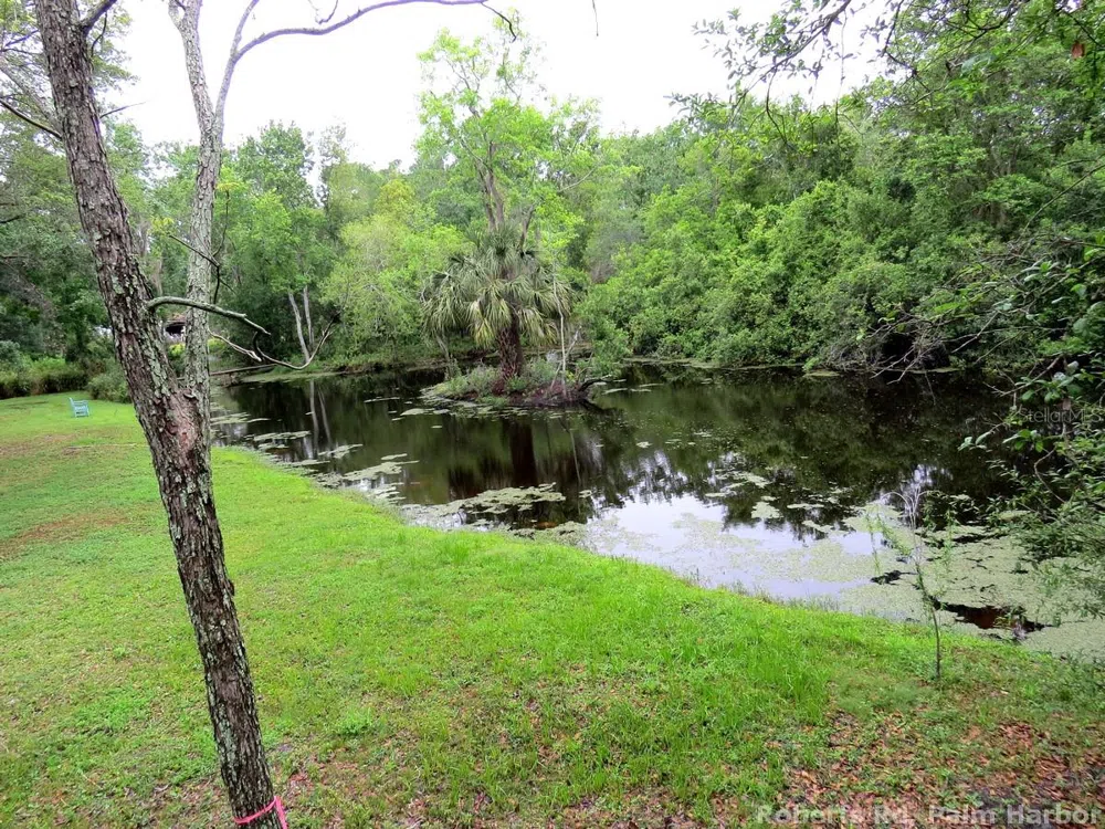 ROBERTS ROAD Palm Harbor, FL 34683