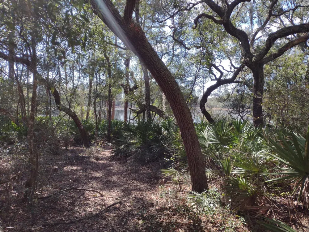 89 TUCKER LAKE ROAD Melrose, FL 32666