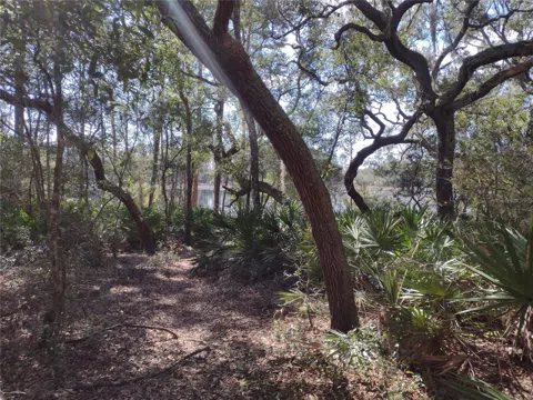 89 TUCKER LAKE ROAD