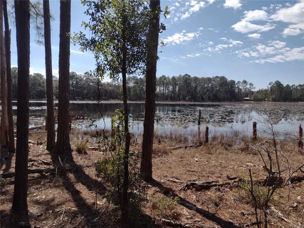 89 TUCKER LAKE ROAD Melrose, FL 32666