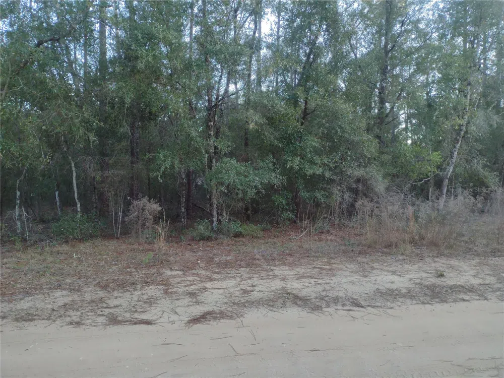 89 TUCKER LAKE ROAD Melrose, FL 32666