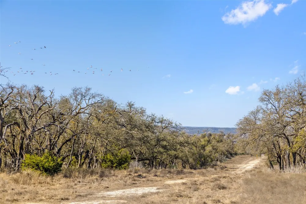 9069 Ranch Road 1323 Road Fredericksburg, TX 78624