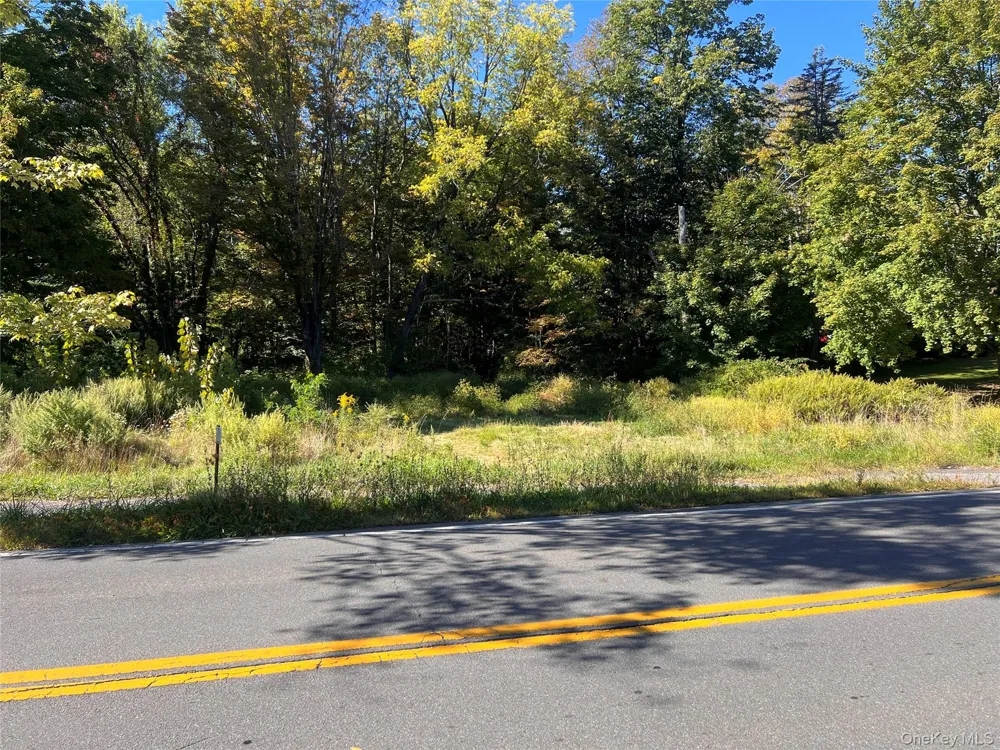 15 Main Street Napanoch, NY 12458