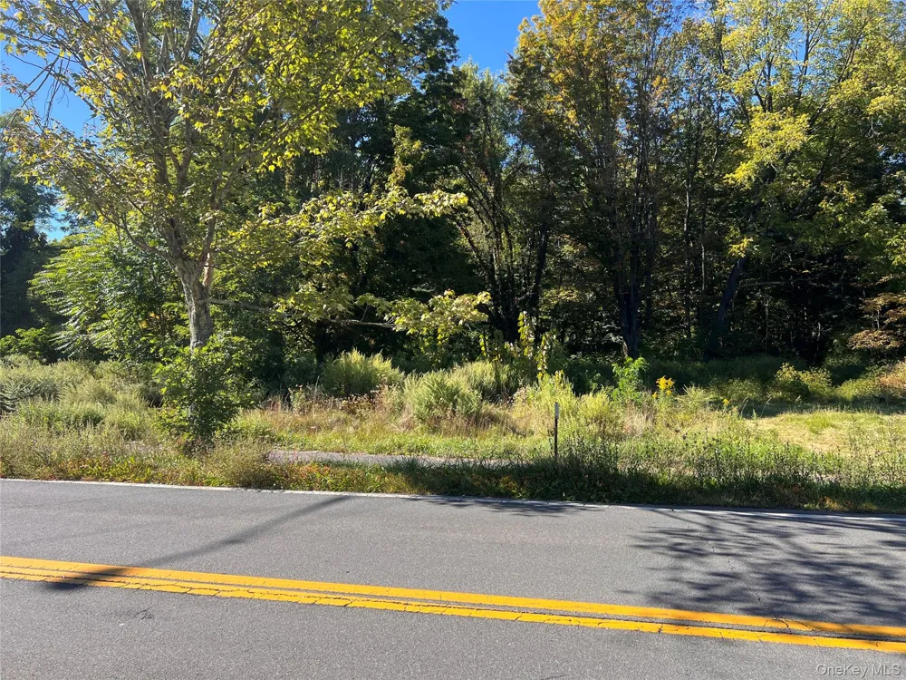 15 Main Street Napanoch, NY 12458
