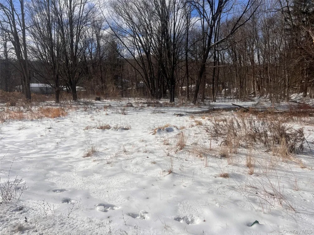 15 Main Street Napanoch, NY 12458