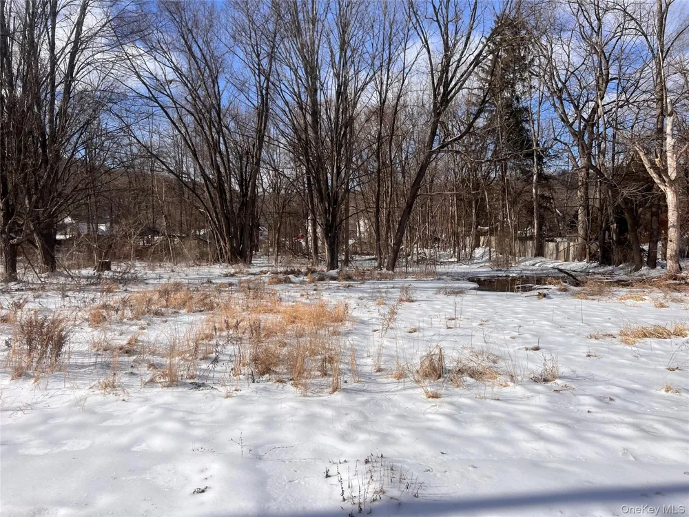 15 Main Street Napanoch, NY 12458