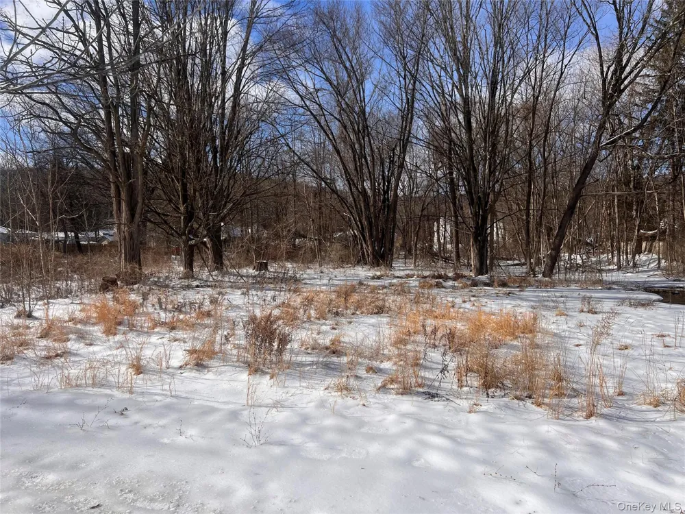 15 Main Street Napanoch, NY 12458