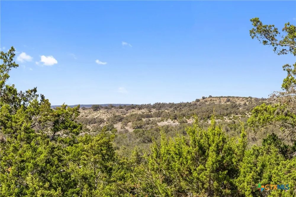 9069 Ranch Road 1323 Fredericksburg, TX 78624