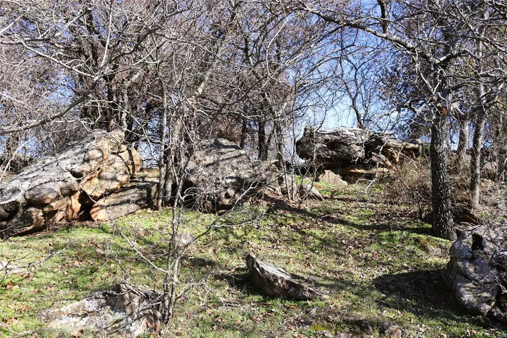 40 Sears Mayfield Rd Henrietta, TX 76365
