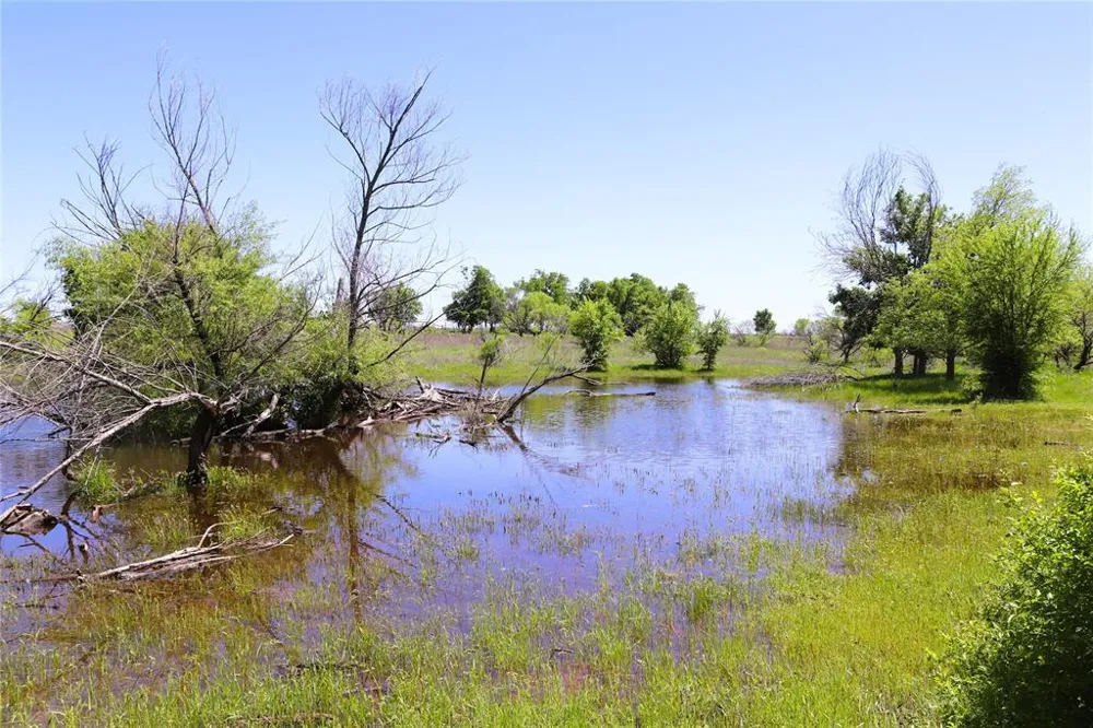 40 Sears Mayfield Rd Henrietta, TX 76365