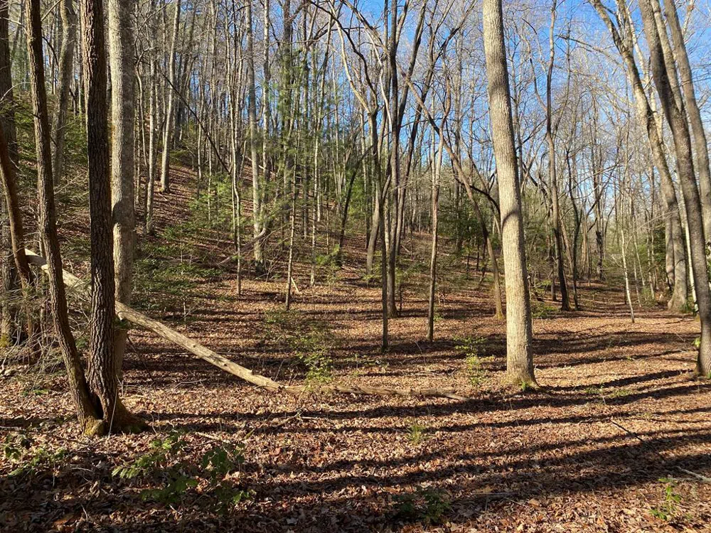 TBD Collett Woods Cove Andrews, NC 28901