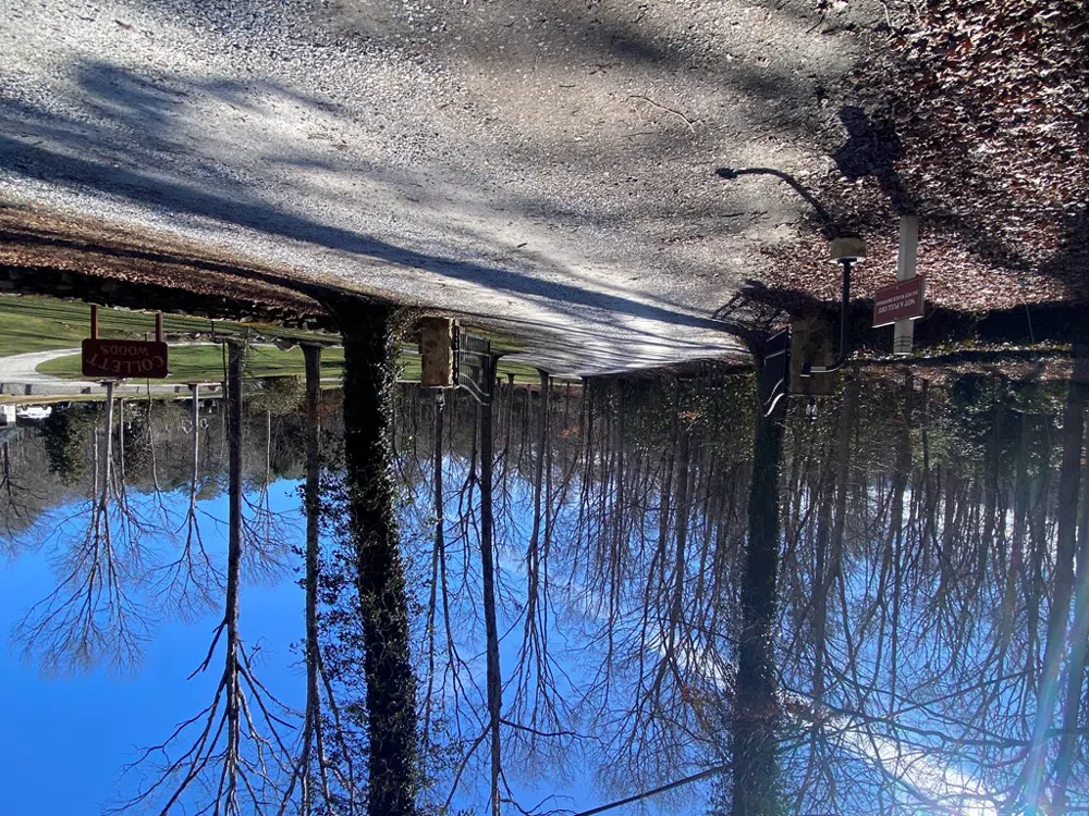 TBD Collett Woods Cove Andrews, NC 28901