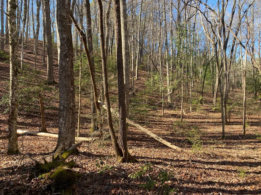 TBD Collett Woods Cove Andrews, NC 28901