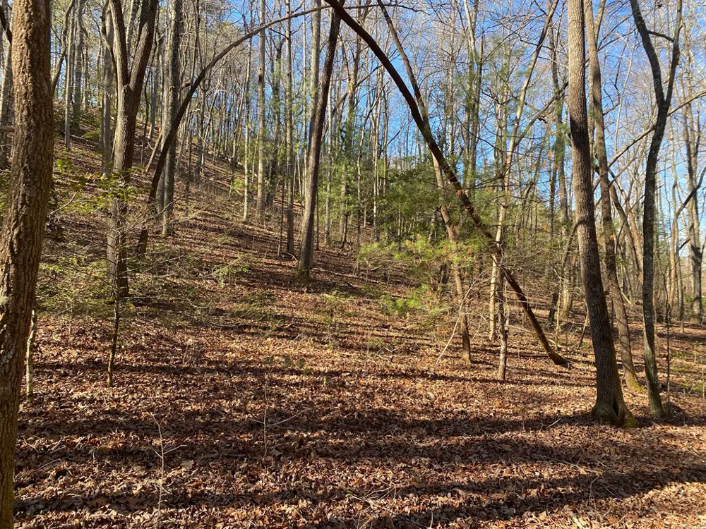 TBD Collett Woods Cove Andrews, NC 28901