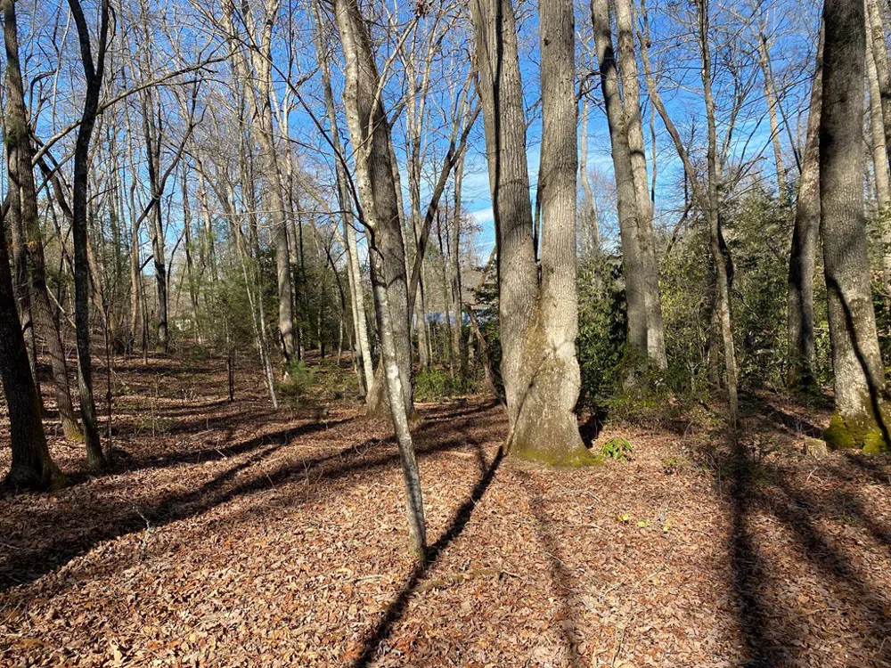 TBD Collett Woods Cove Andrews, NC 28901