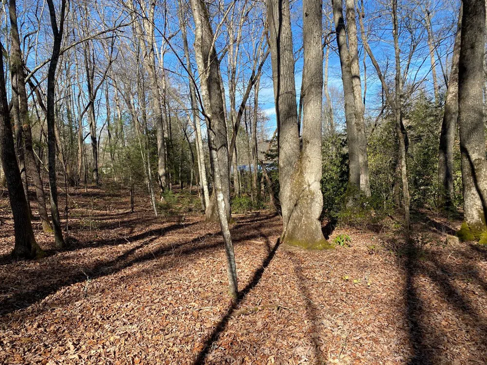 TBD Collett Woods Cove Andrews, NC 28901