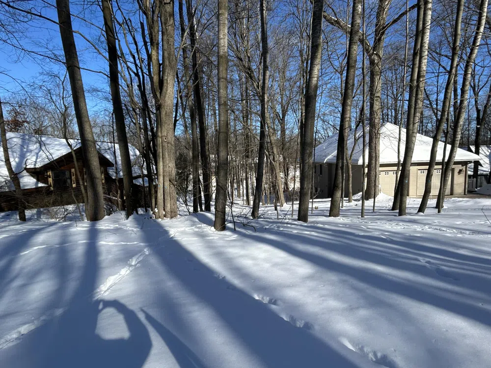 11490 Alpine Road #43 Canadian Lakes, MI 49346