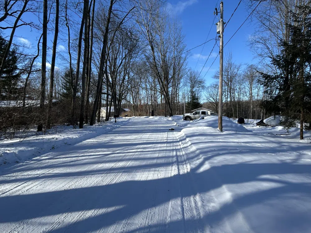 11490 Alpine Road #43 Canadian Lakes, MI 49346