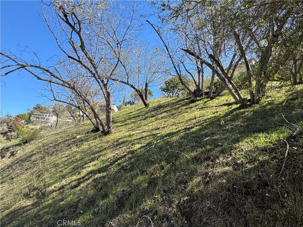 3732 Knobhill Drive Sherman Oaks, CA 91423