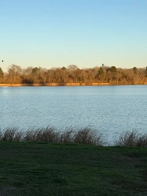 116 Grapeland Lake Road Grapeland, TX 75844