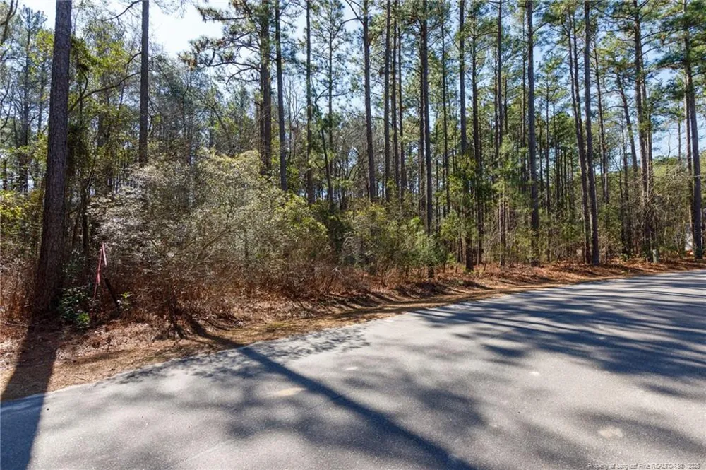 #4 Caddie Court Wagram, NC 28396