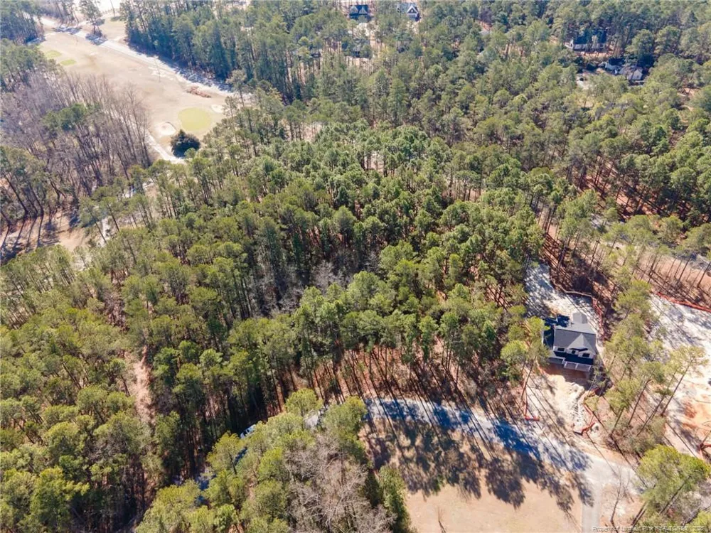 #4 Caddie Court Wagram, NC 28396
