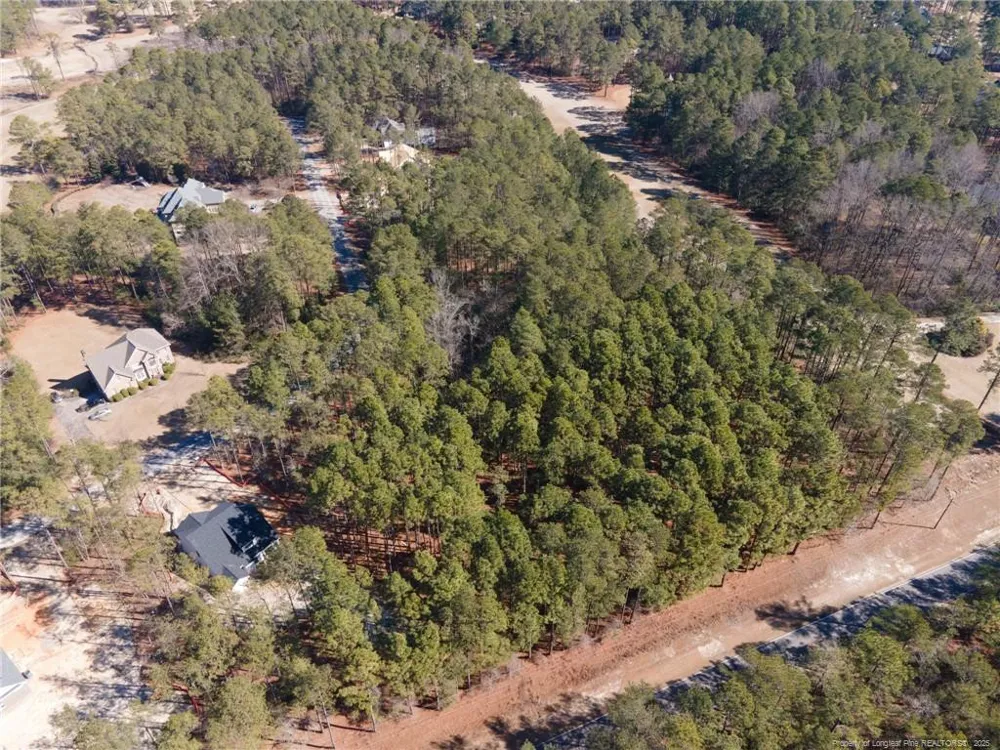 #4 Caddie Court Wagram, NC 28396