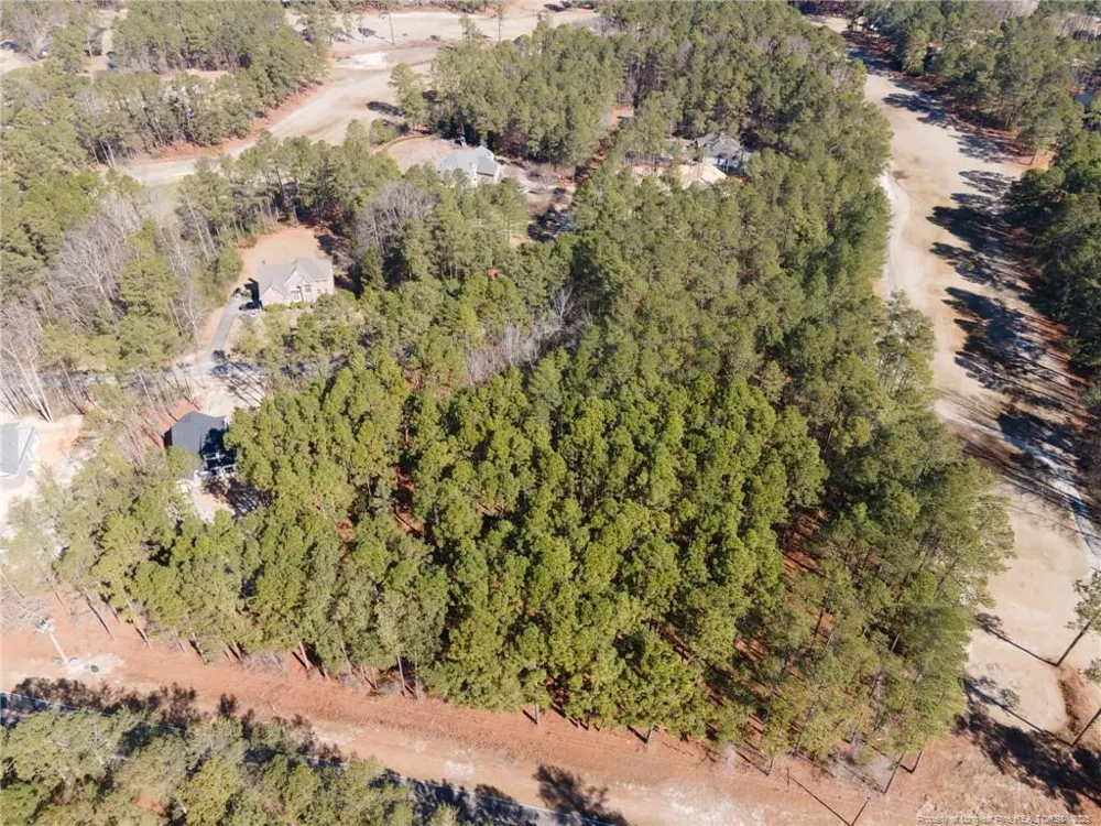 #4 Caddie Court Wagram, NC 28396